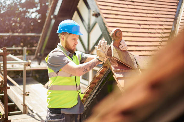 Roof Gutter Cleaning in Woodruff, SC